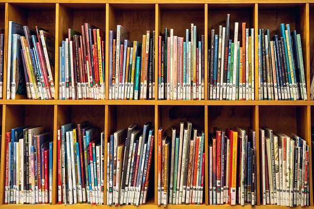 Jak dobrze zorganizować swoją domową bibliotekę